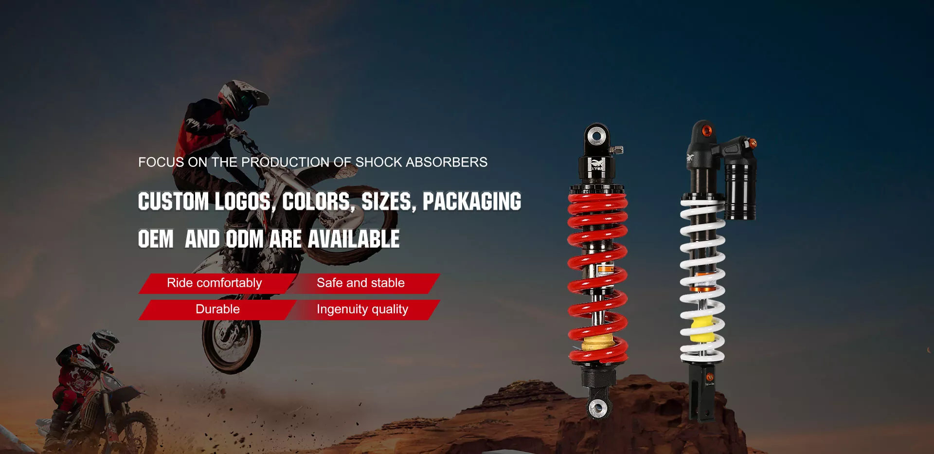 Chine Amortisseur arrière